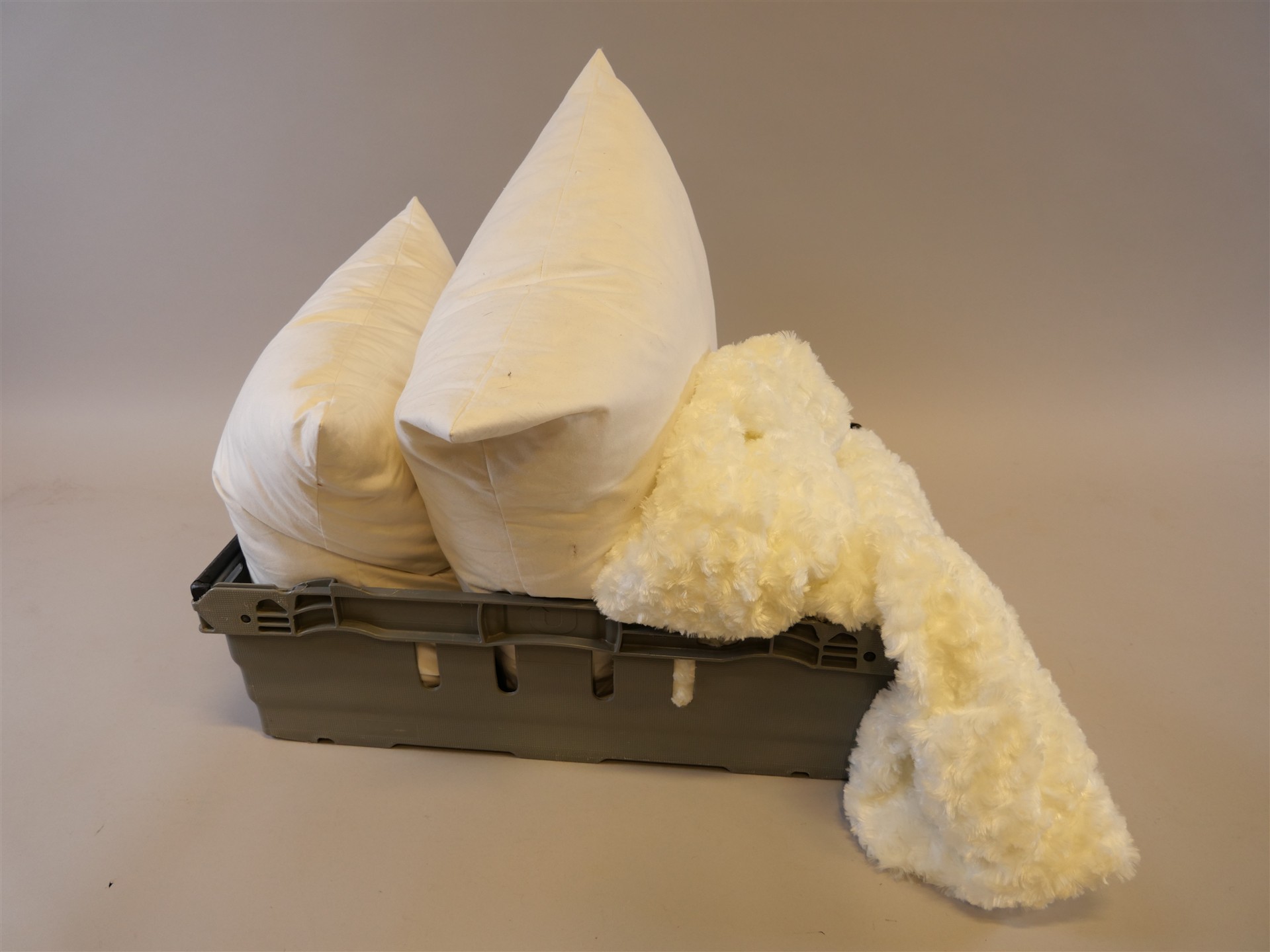 Auktion: 557 Objekt: 376