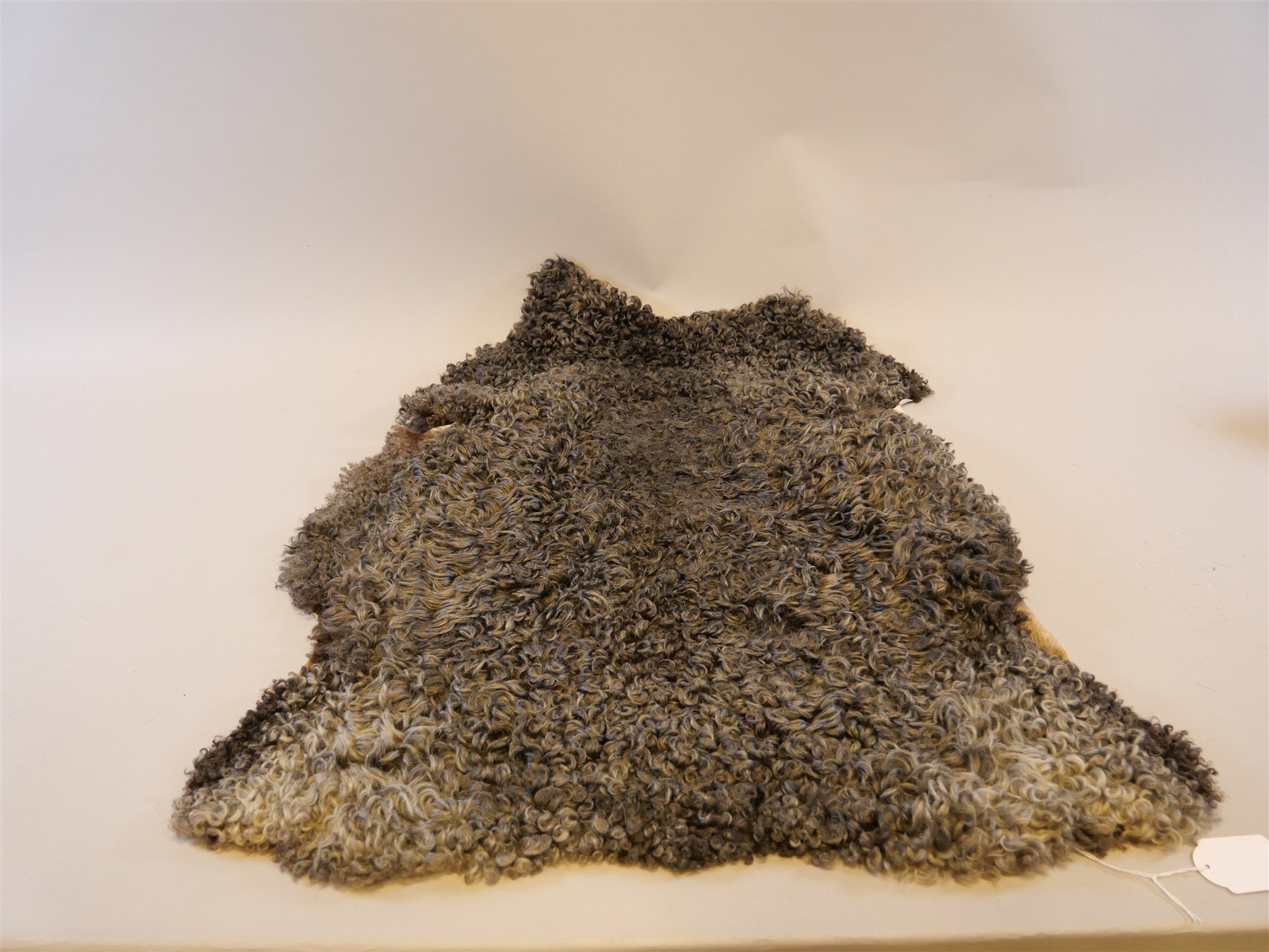 Auktion: 560 Objekt: 269