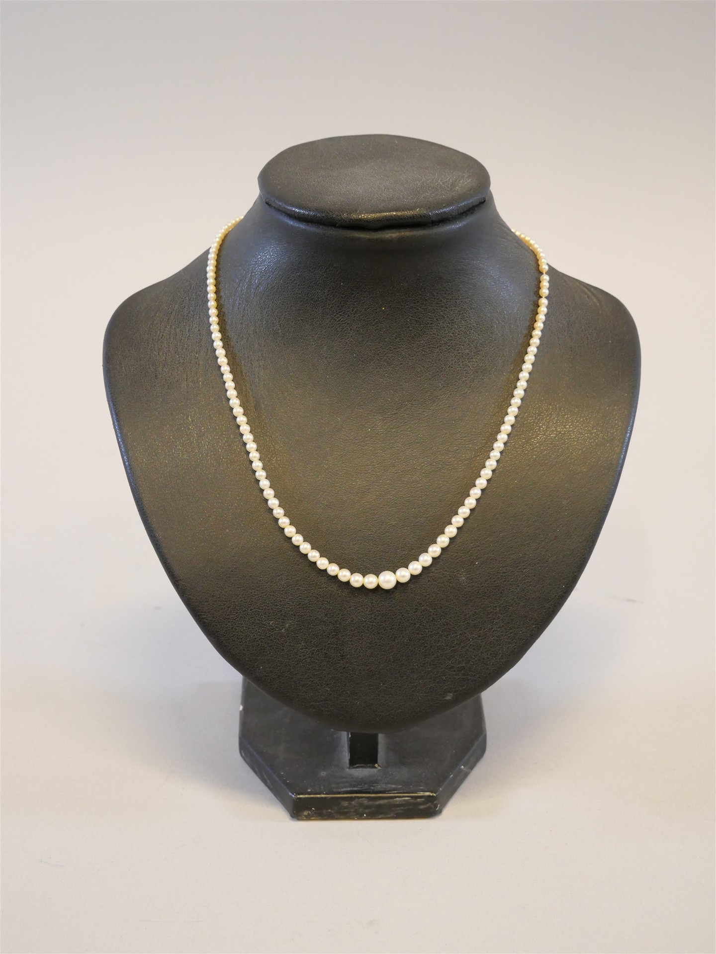 Auktion: 560 Objekt: 513