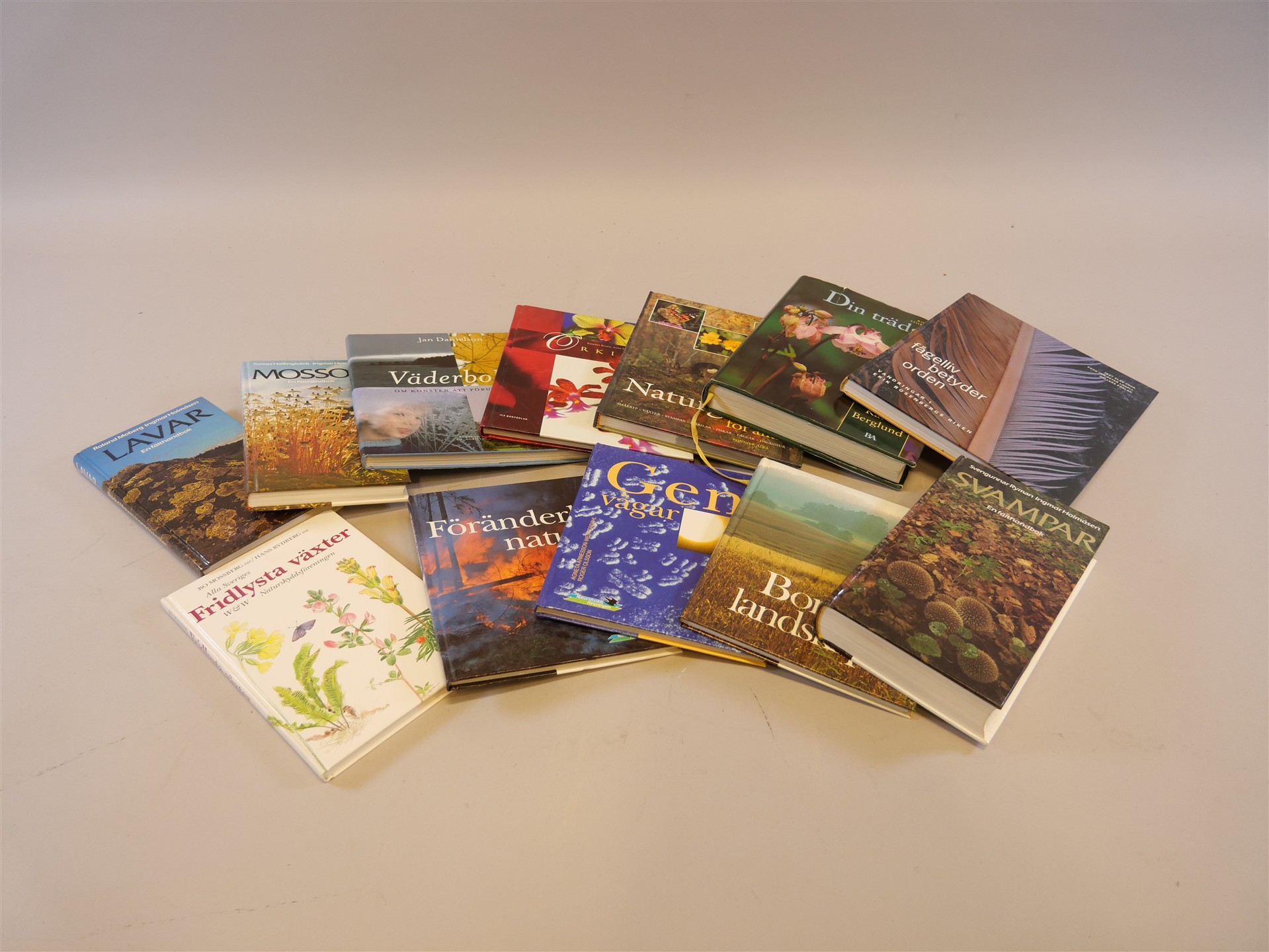 Auktion: 566 Objekt: 281