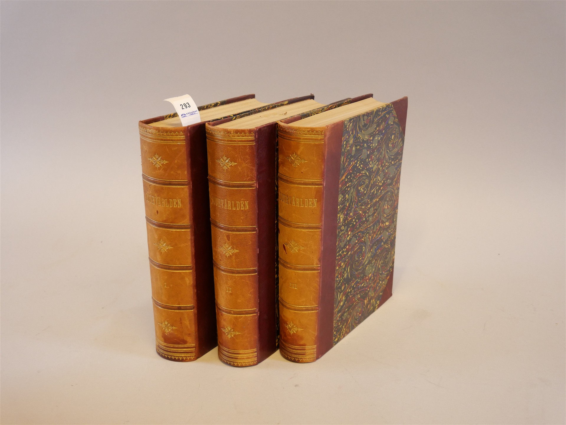 Auktion: 568 Objekt: 293