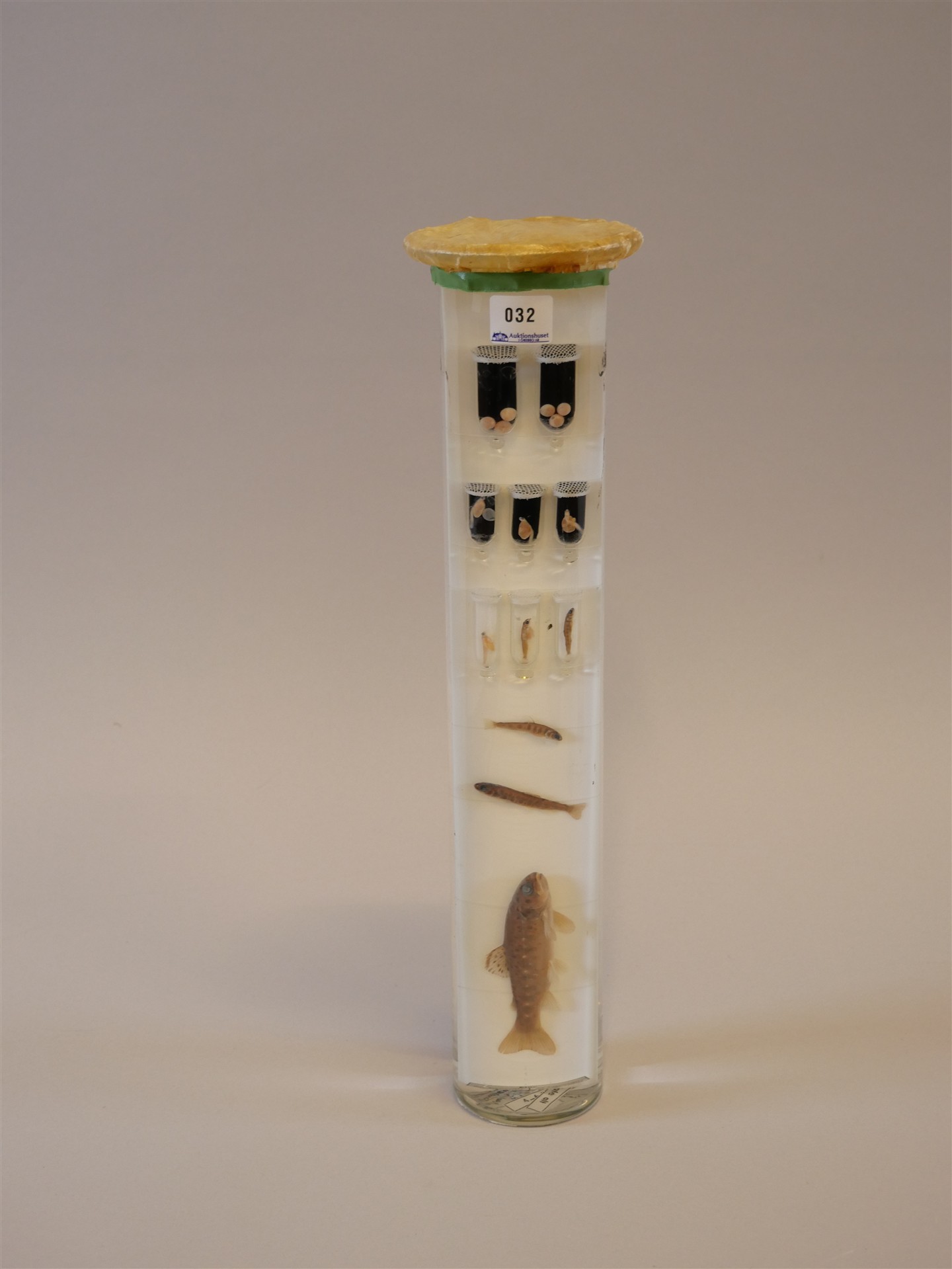 Auktion: 568 Objekt: 032