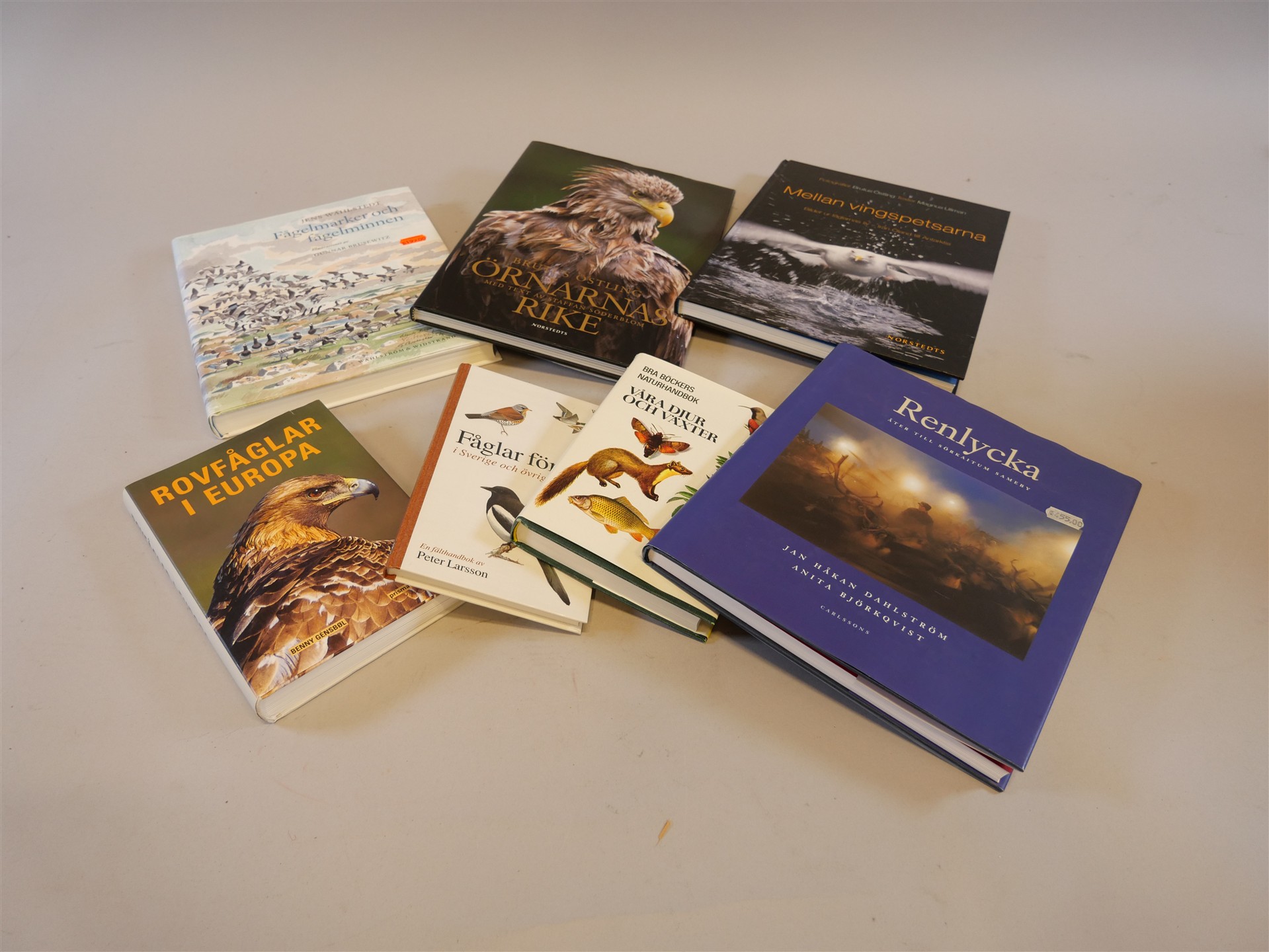 Auktion: 569 Objekt: 017