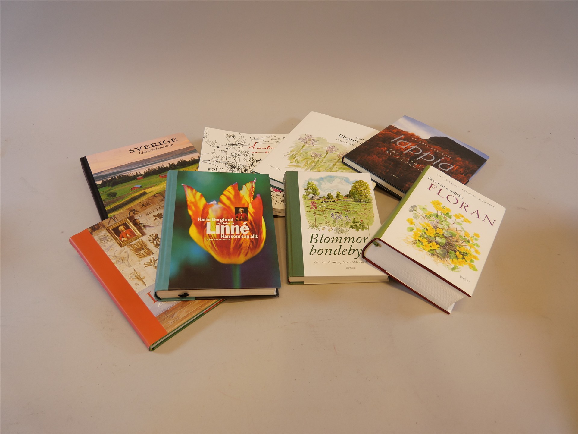 Auktion: 569 Objekt: 018