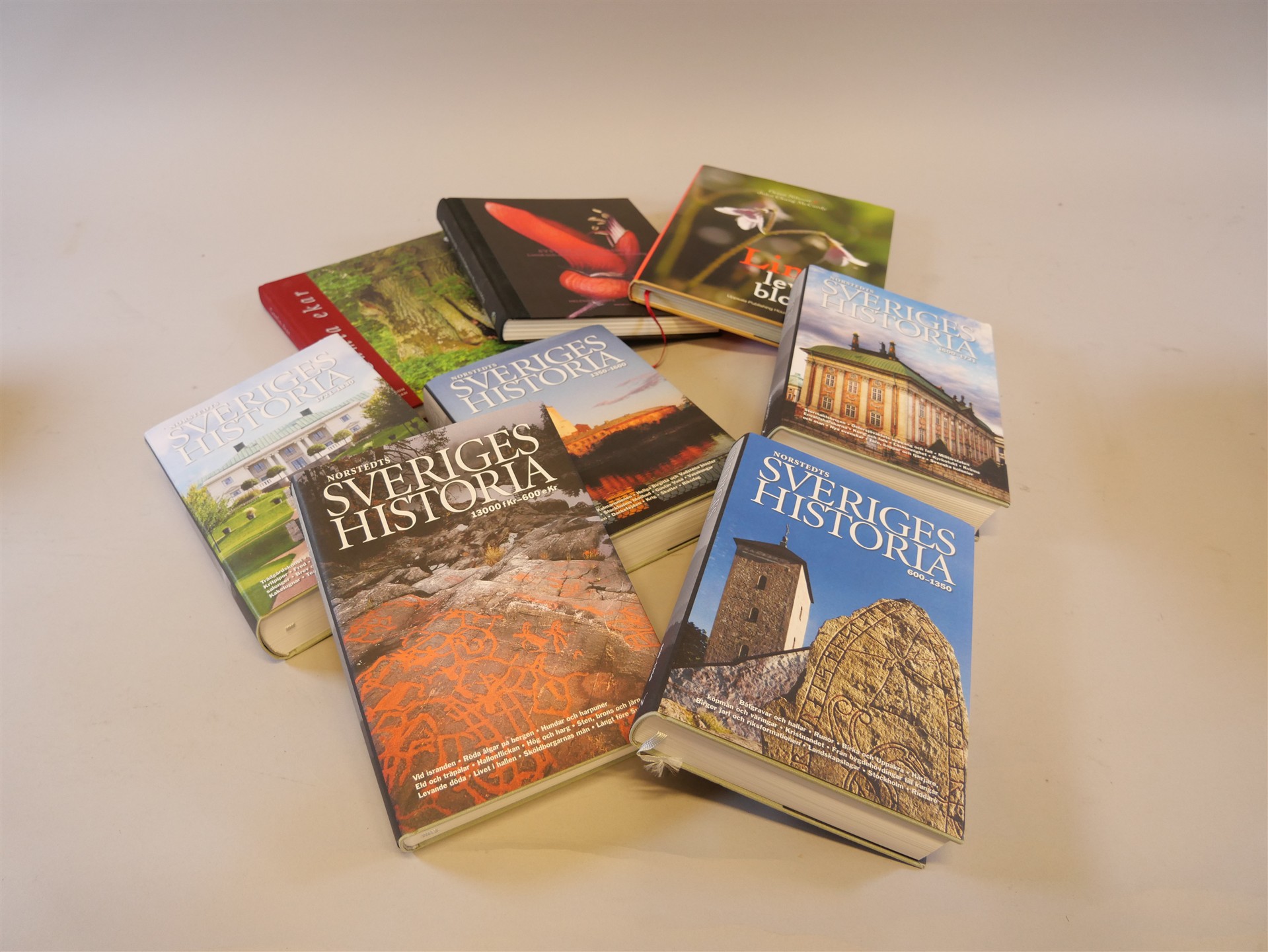 Auktion: 569 Objekt: 019