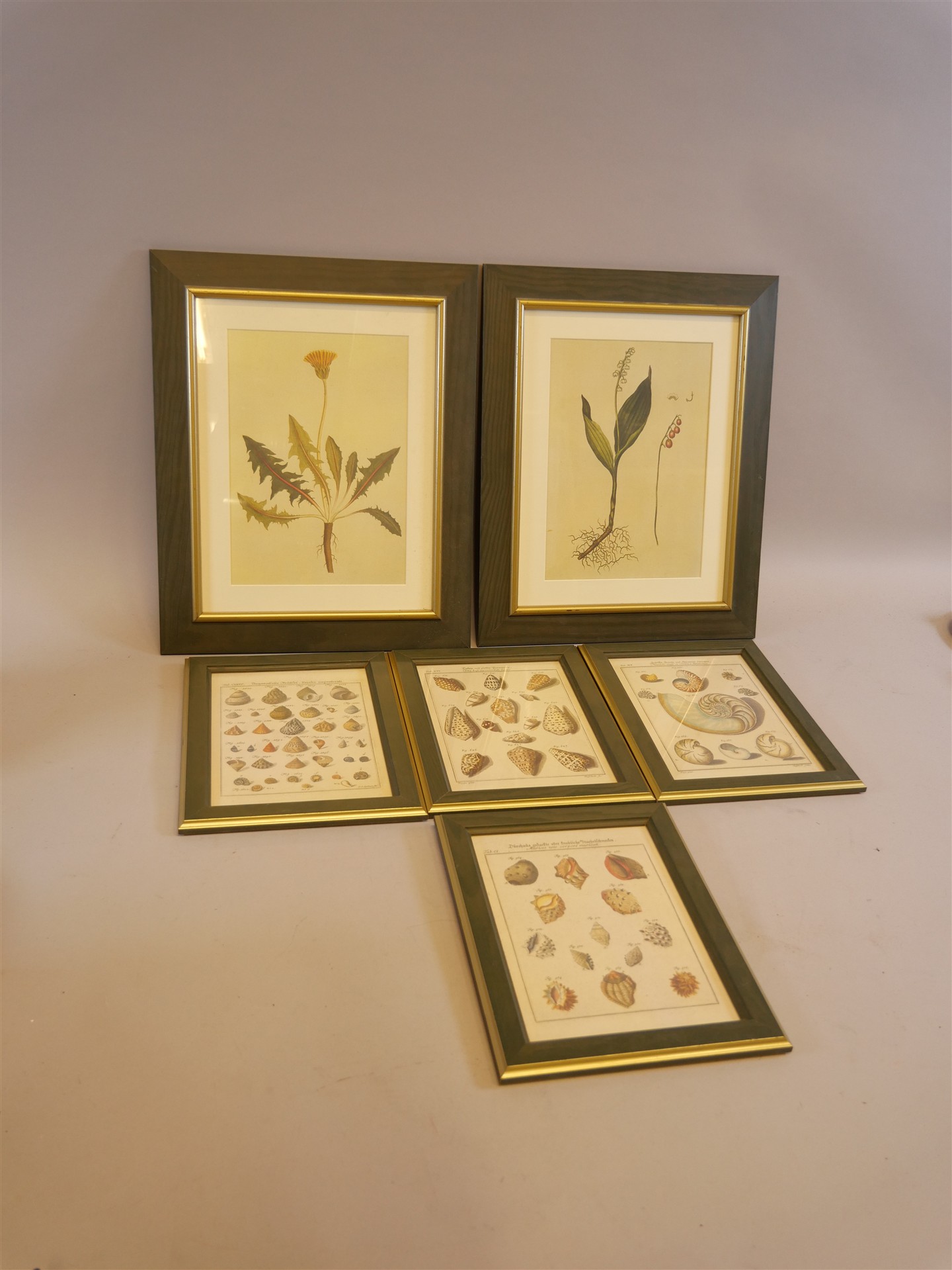 Auktion: 569 Objekt: 215