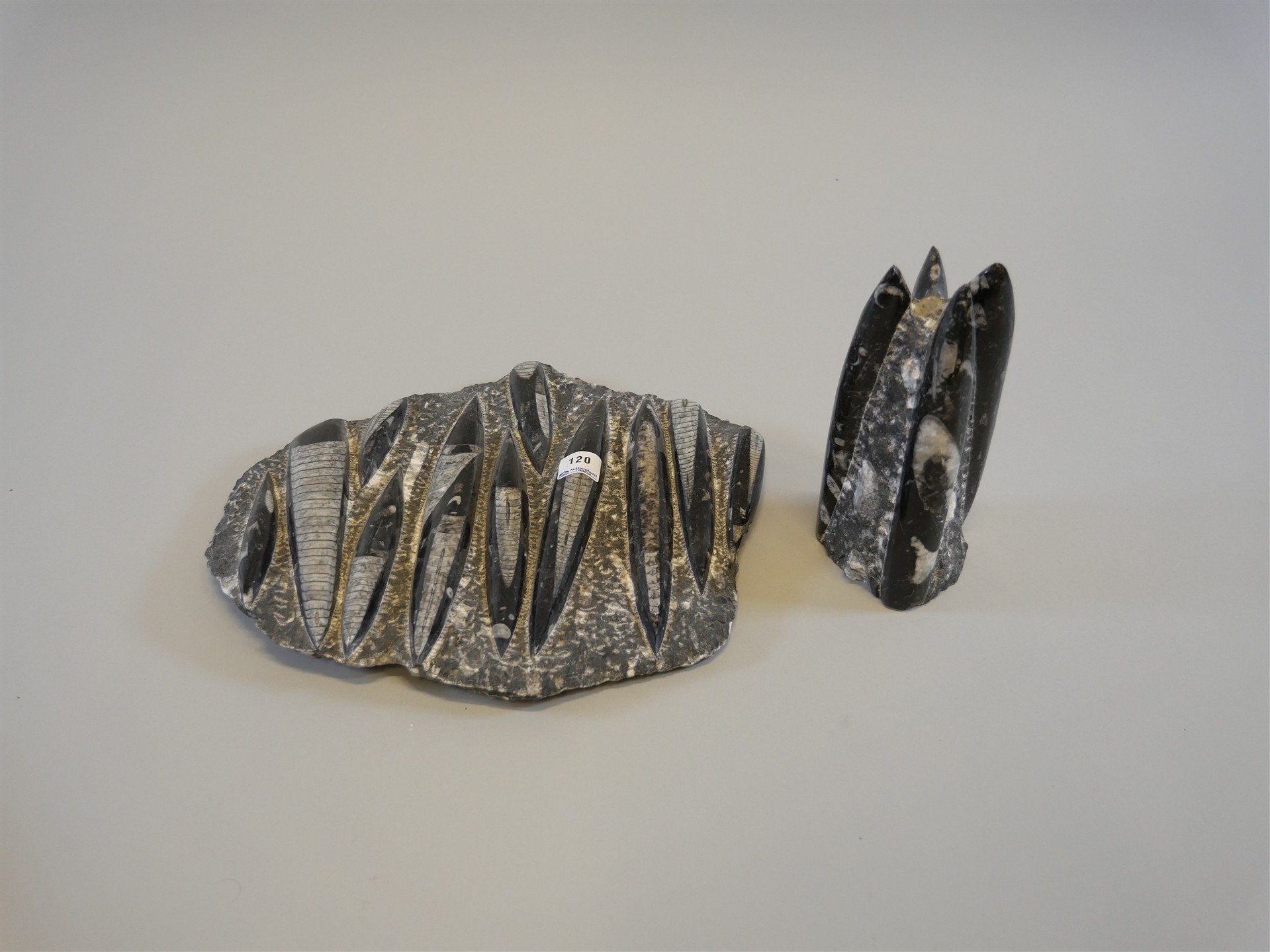 Auktion: 572 Objekt: 120