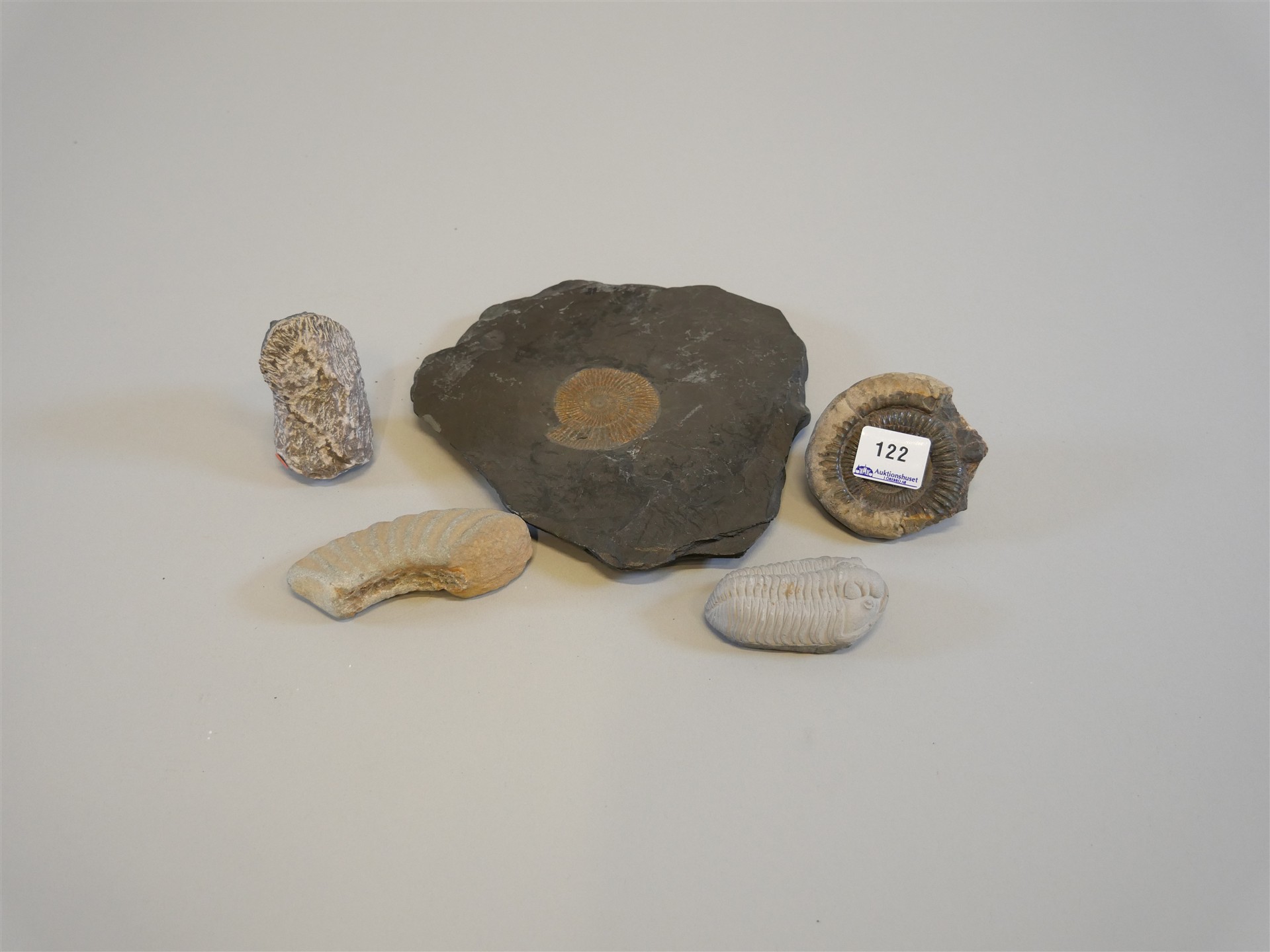 Auktion: 572 Objekt: 122