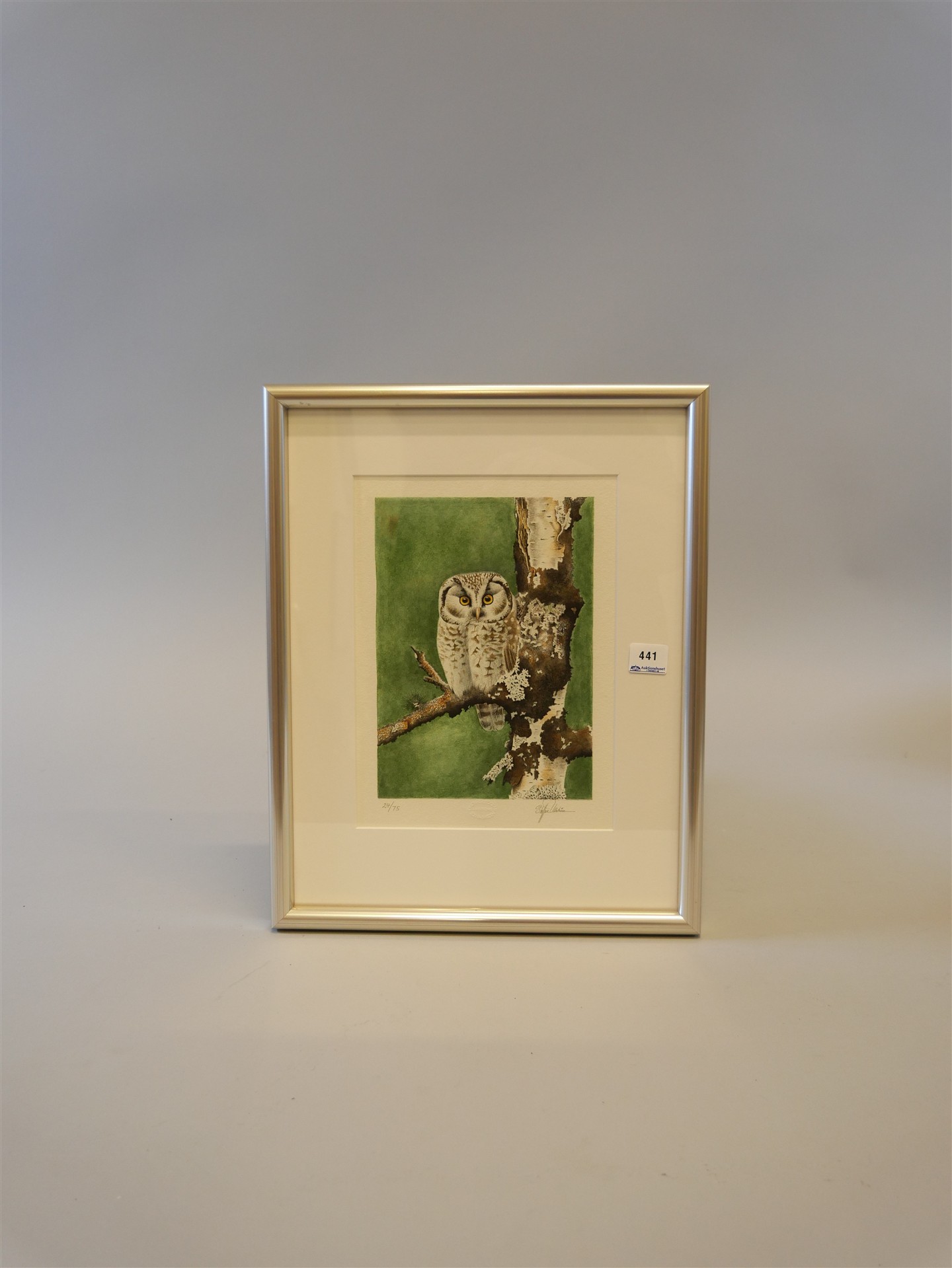 Auktion: 572 Objekt: 441