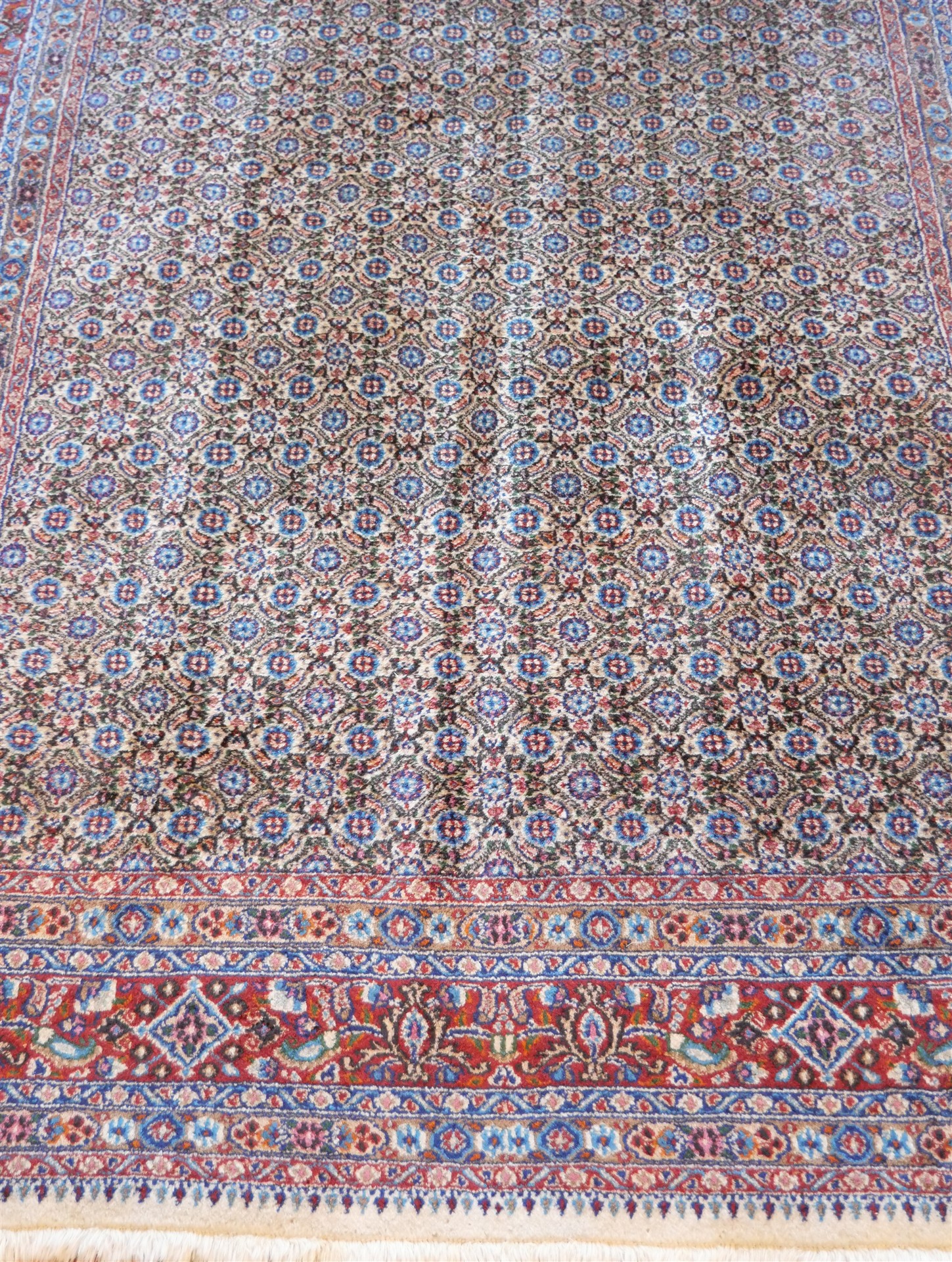 Auktion: 572 Objekt: 482