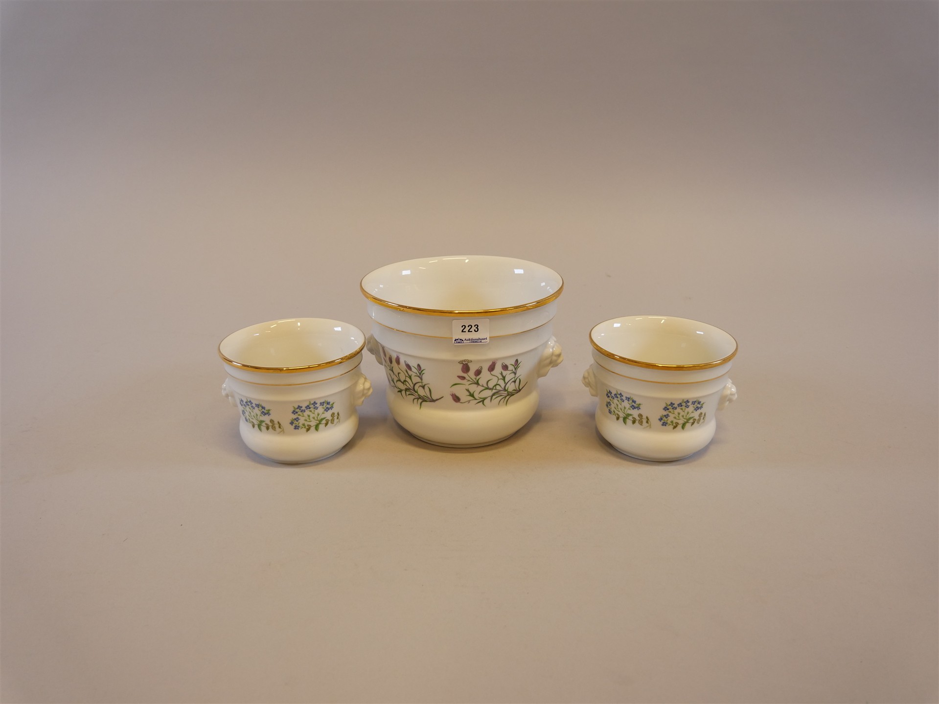 Auktion: 573 Objekt: 223